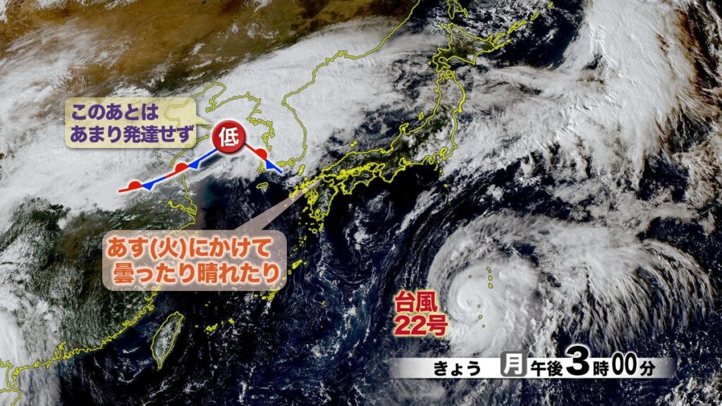 共有