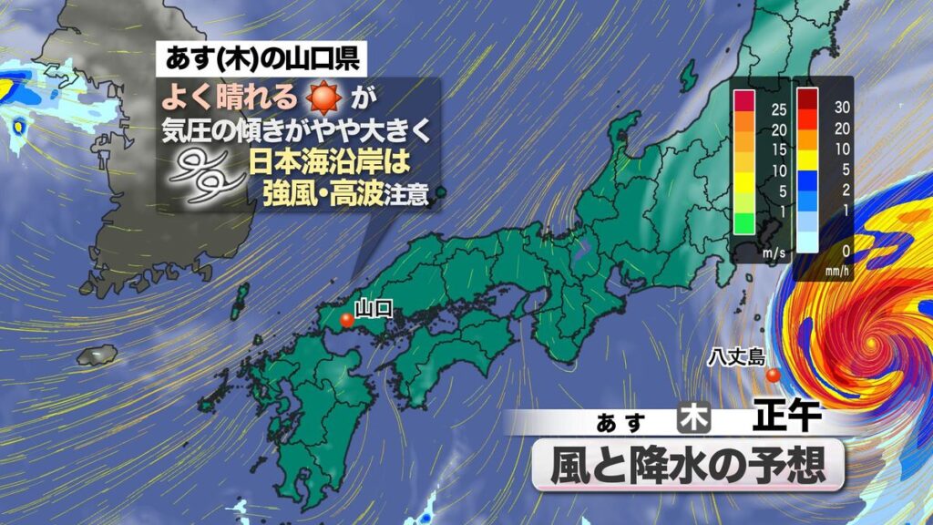 共有