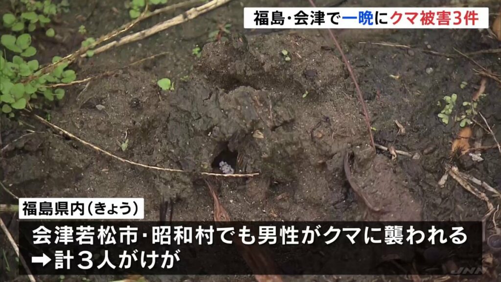 TBS NEWS DIG Powered by JNN