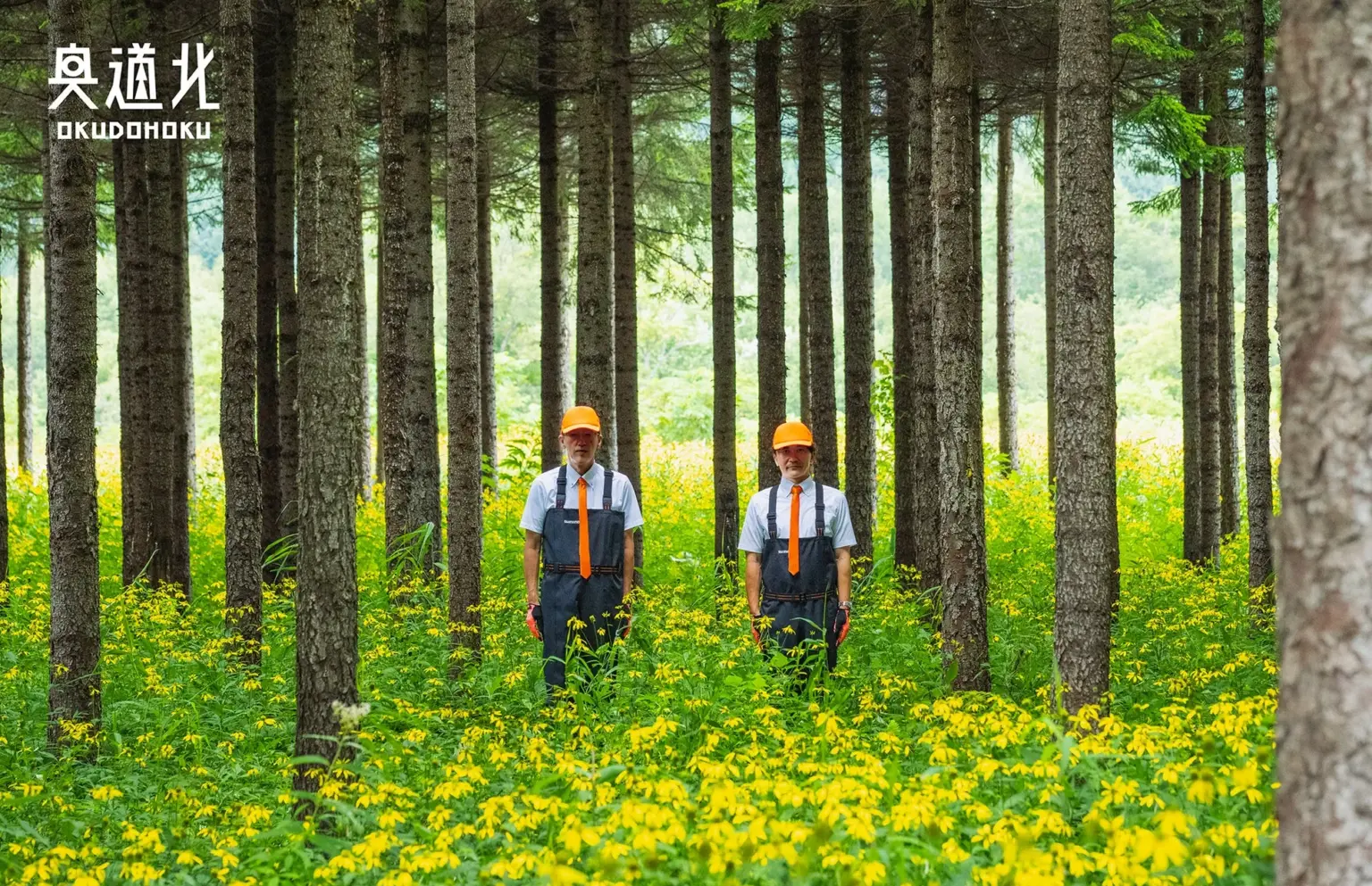 「奥道北」の知られざる魅力!北海道秘境で未来を創る体験ガイド | MONOLAB 「奥道北」の知られざる魅力!北海道秘境で未来を創る体験ガイド