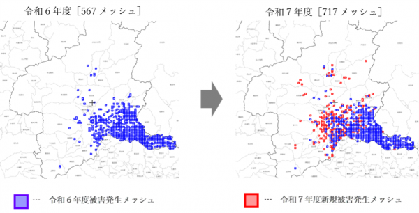 被害状況の比較