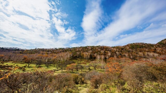 【5日間・各日20名限定】普段は入れない！群馬県 赤城白樺牧場へ秘密の絶景ツアー開催 | TABIZINE～人生に旅心を～