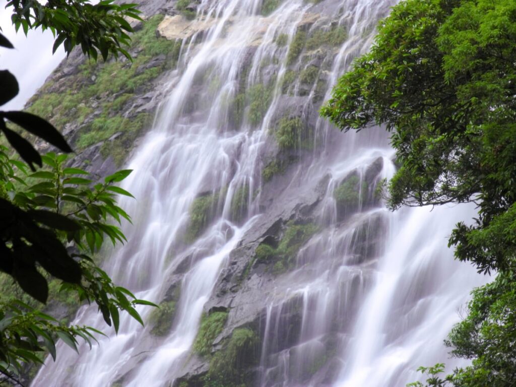 鹿児島県で「夏に行きたい滝」ランキング！ 2位「大川の滝」を僅差で抑えた1位は？【2025年調査】 - All About ニュース