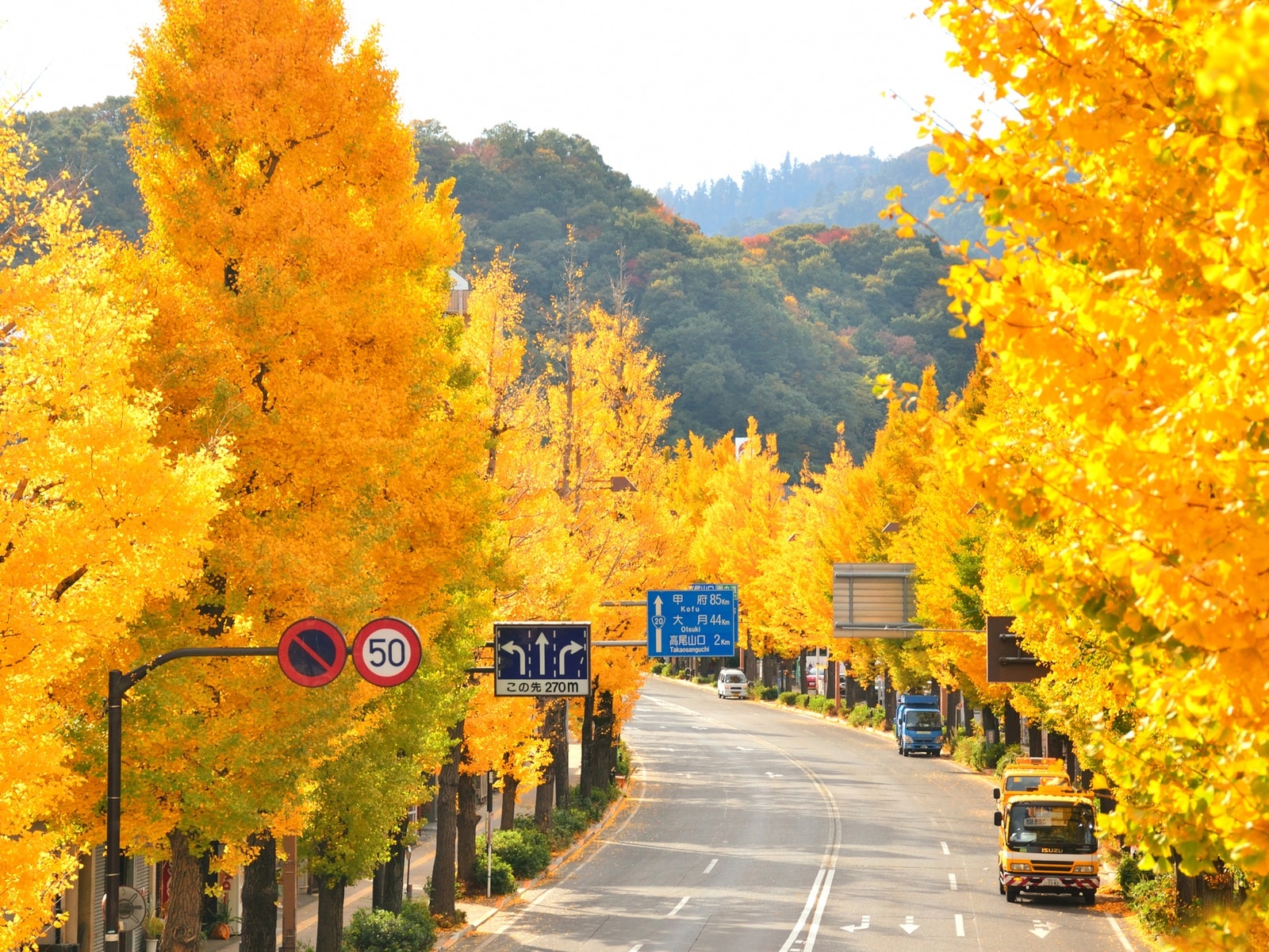 秋に行きたい「東京都の絶景ドライブスポット」ランキング