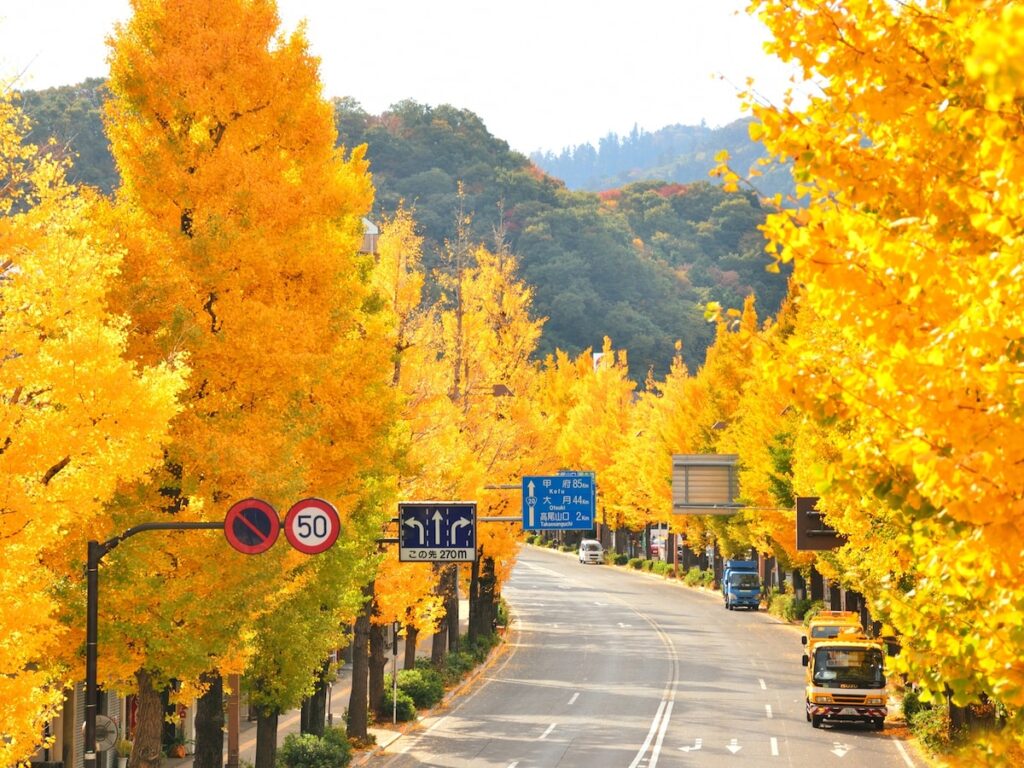 秋に行きたい「東京都の絶景ドライブスポット」ランキング！ 「高尾街道」を抑えた1位は？ - All About ニュース