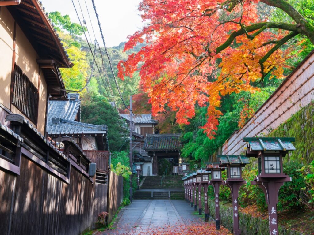 秋に行きたいと思う「兵庫県の道の駅」ランキング！ 2位「村岡ファームガーデン」を抑えた1位は？【2025年調査】 - All About ニュース