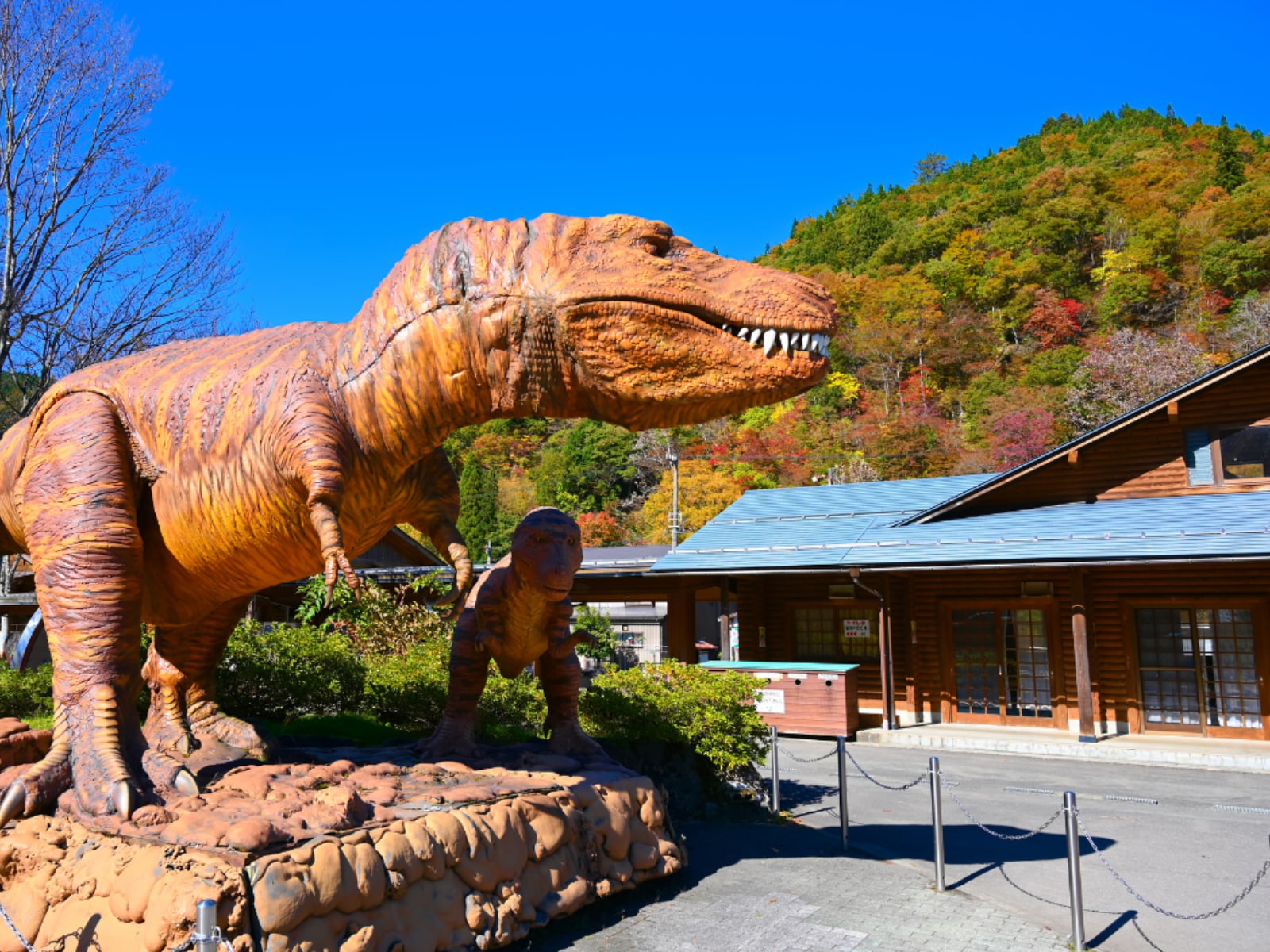 「遠方からでも行きたいと思う福井県の道の駅」ランキング