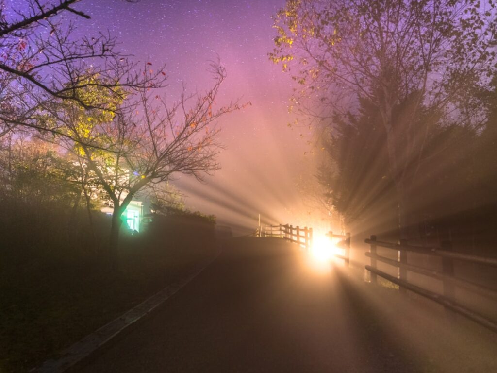 遠方からでも行きたいと思う「奈良県の道の駅」ランキング！ 2位「吉野路 大塔」を抑えた1位は？ 【2025年調査】 - All About ニュース