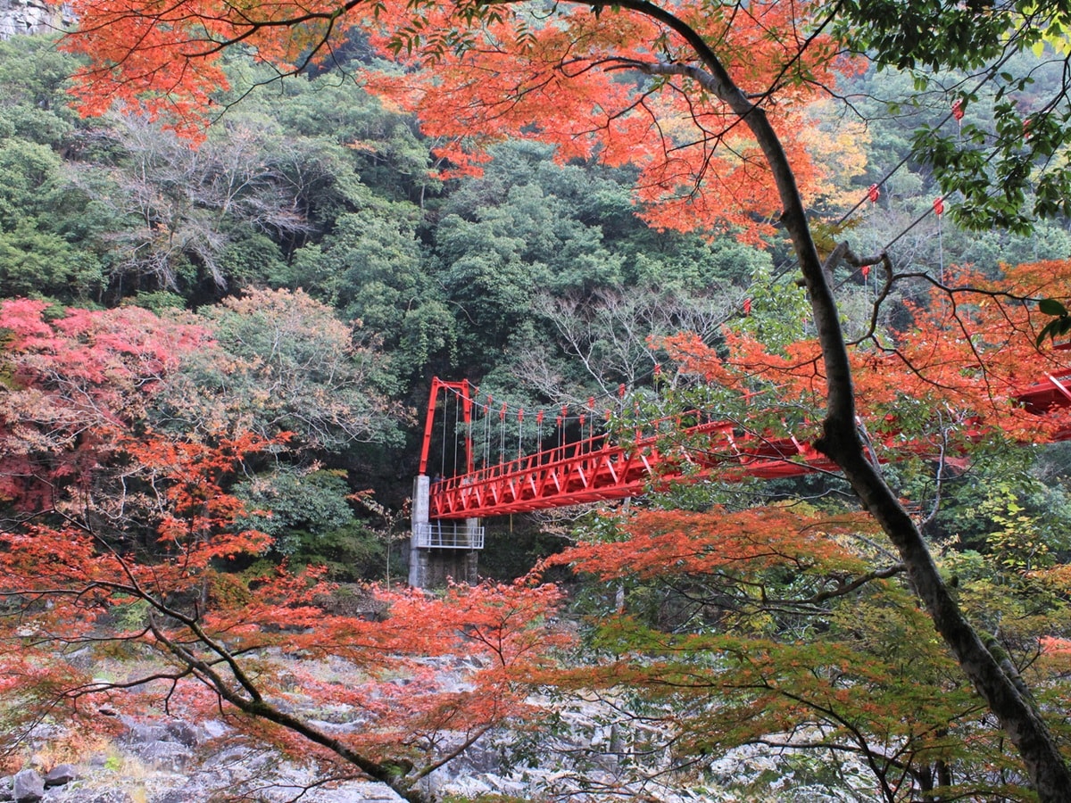 遠方からでも行きたいと思う「山口県の道の駅」ランキング