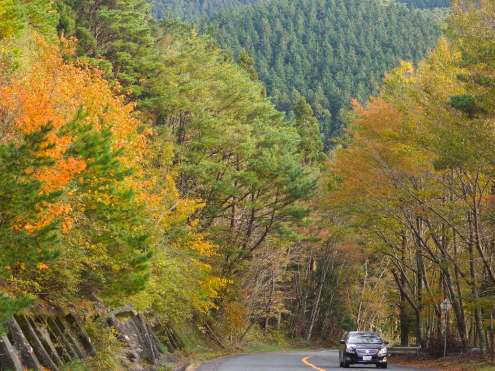 「和歌山県の絶景ドライブスポット」ランキング