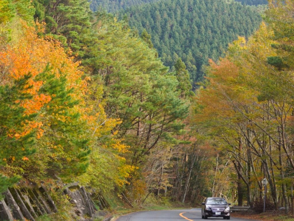 秋に行きたい「和歌山県の絶景ドライブスポット」ランキング! 2位「高野龍神スカイライン・護摩壇山周辺ルート」、1位は? – All About ニュース 秋に行きたい「和歌山県の絶景ドライブスポット」ランキング! 2位「高野龍神スカイライン・護摩壇山周辺ルート」、1位は? - All About ニュース