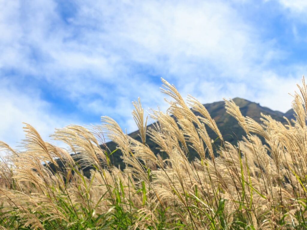 秋に行きたい「鳥取県の絶景ドライブスポット」ランキング！ 2位「桝水高原・鍵掛峠周辺ルート」、1位は？ - All About ニュース