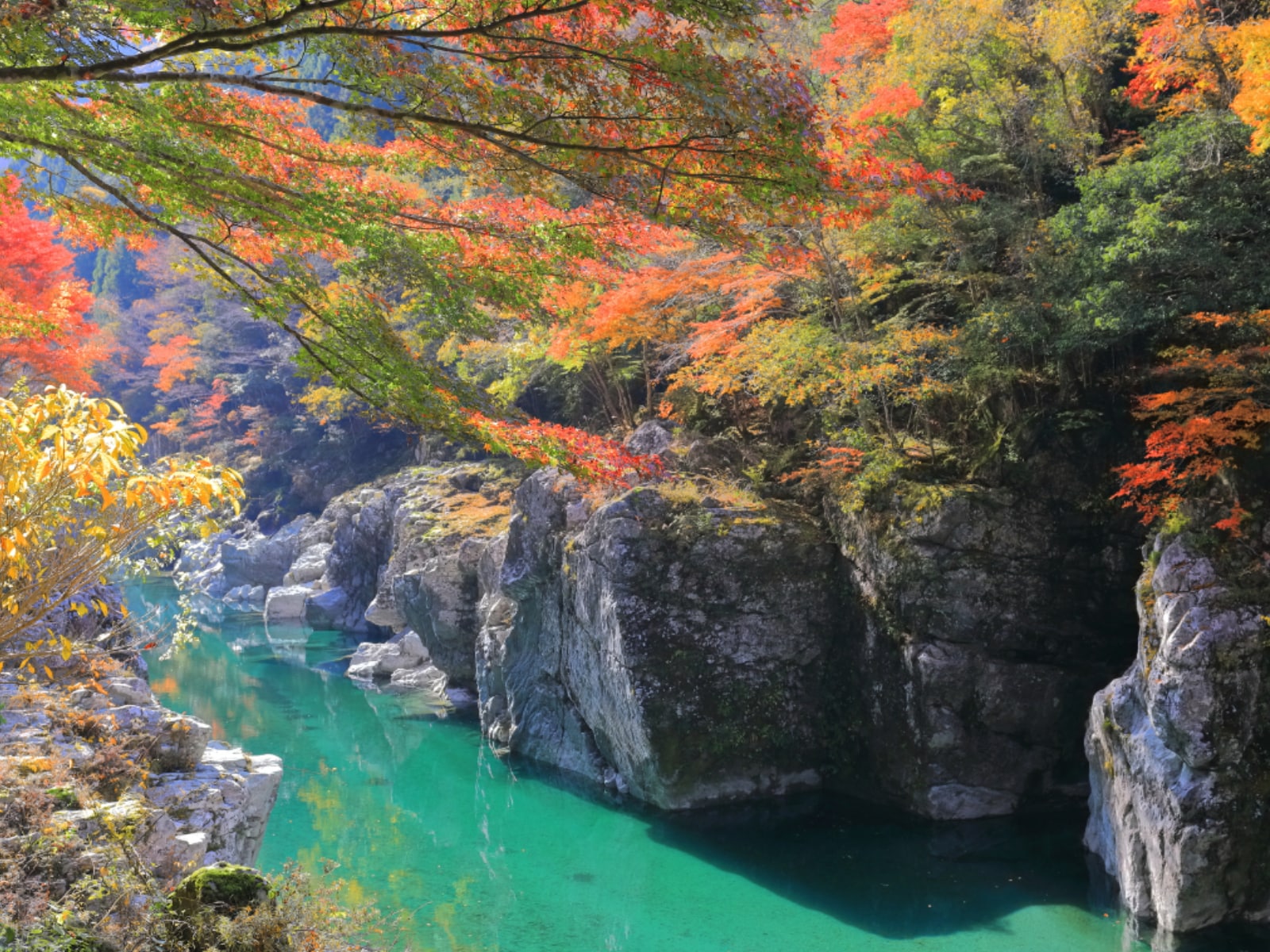 秋に行きたい「徳島県の絶景ドライブスポット」ランキング