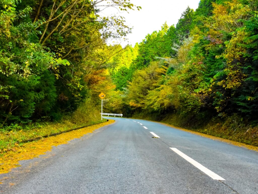 秋に行きたい「熊本県の絶景ドライブスポット」ランキング！ 2位「南阿蘇グリーンロード」を抑えた1位は？【2025年調査】 - All About ニュース