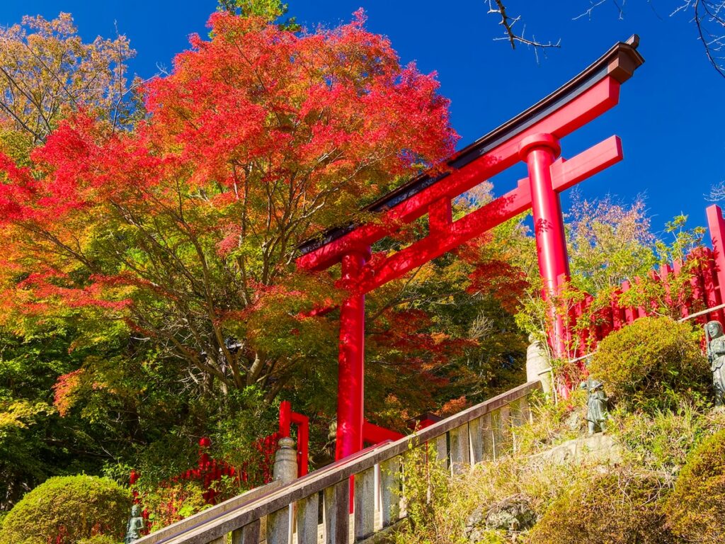 好き＆行ってみたい「東京都の紅葉スポット」ランキング！ 2位「高尾山」を抑えた1位は？【2025年調査】 - All About ニュース