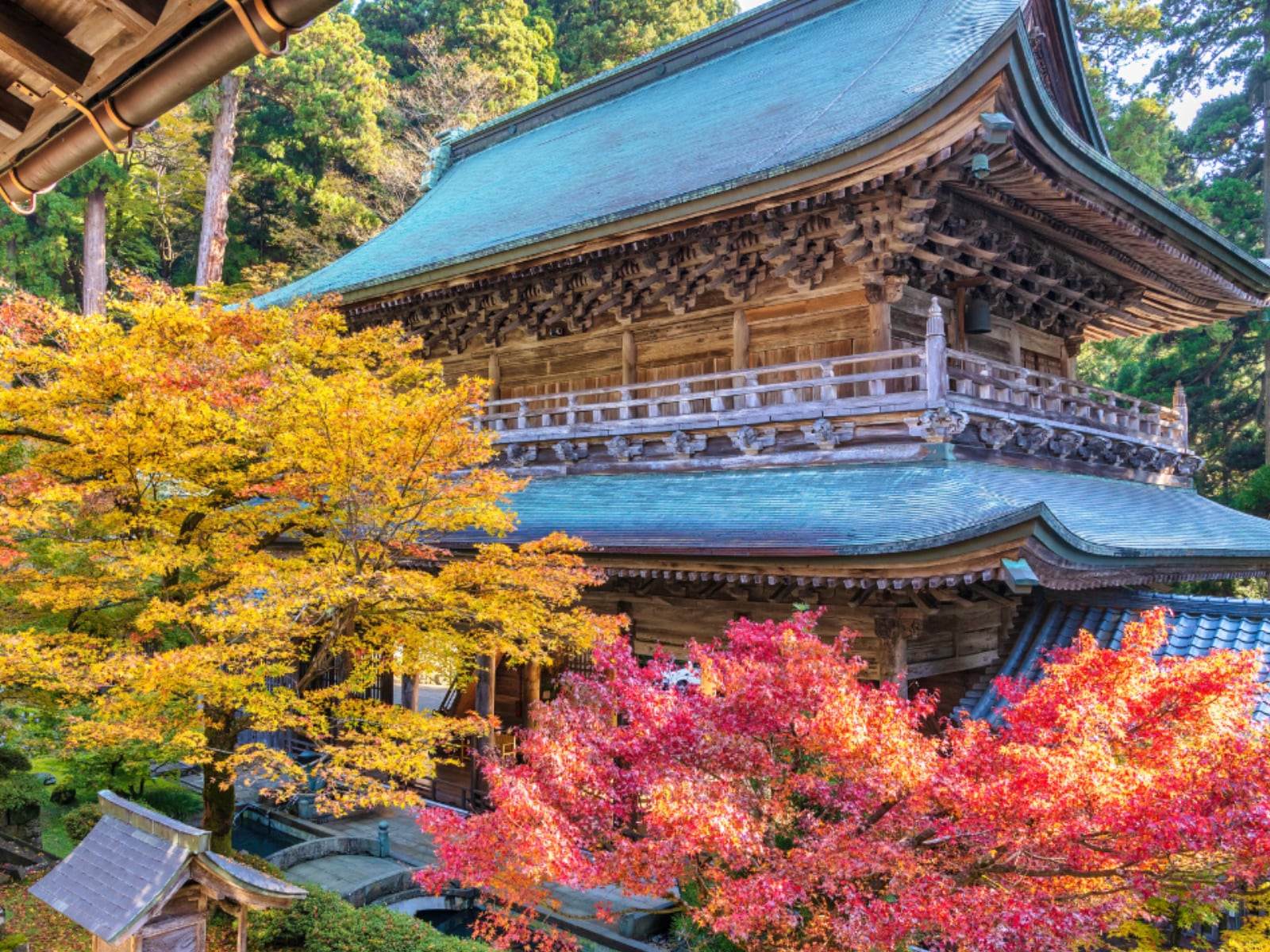 「好き＆行ってみたい福井県の紅葉スポット」ランキング