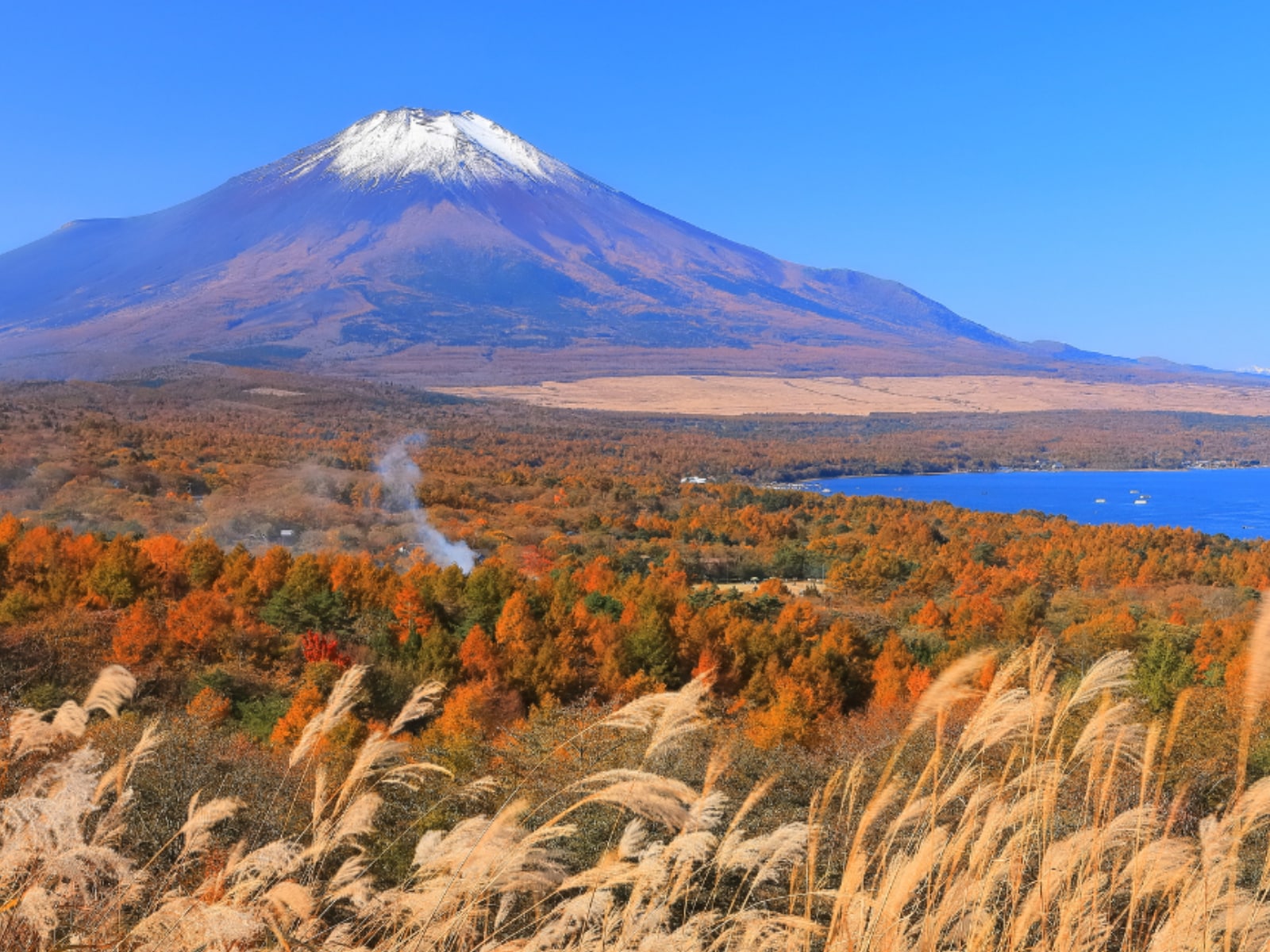 「好き＆行ってみたい山梨県の紅葉スポット」ランキング