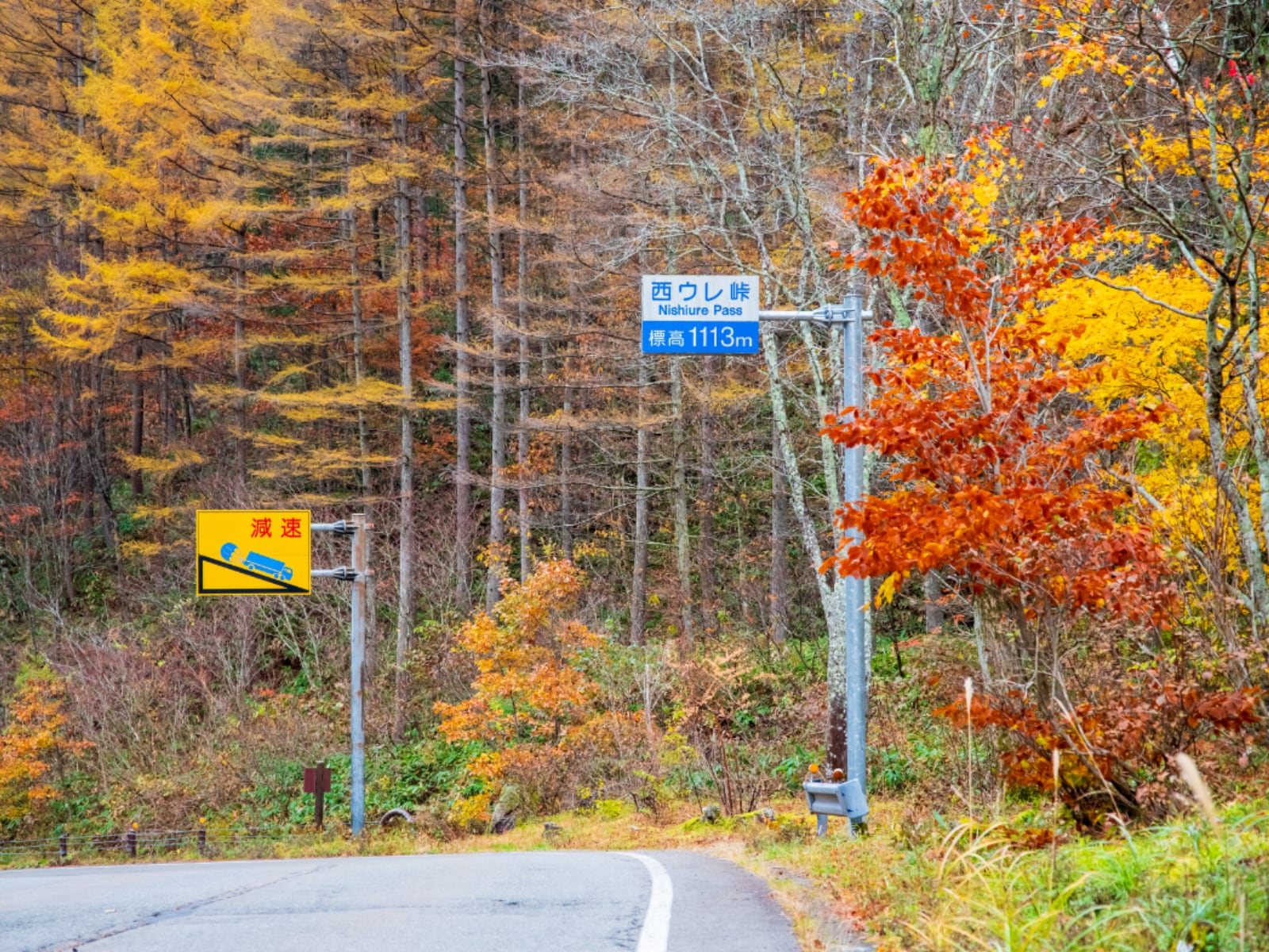 「好き＆行ってみたい岐阜県の紅葉スポット」ランキング