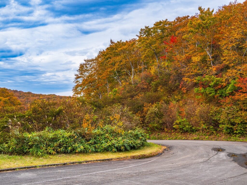 秋に行きたい「新潟県の絶景ドライブスポット」ランキング！ 「魚沼スカイライン」を抑えた1位は？ - All About ニュース