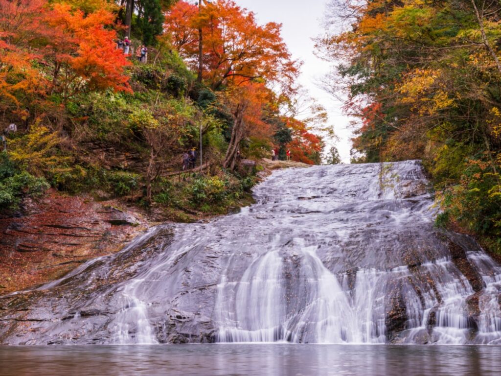 秋に行きたいと思う「千葉県の絶景スポット」ランキング！ 2位「養老渓谷」を抑えた1位は？【2025年調査】 - All About ニュース