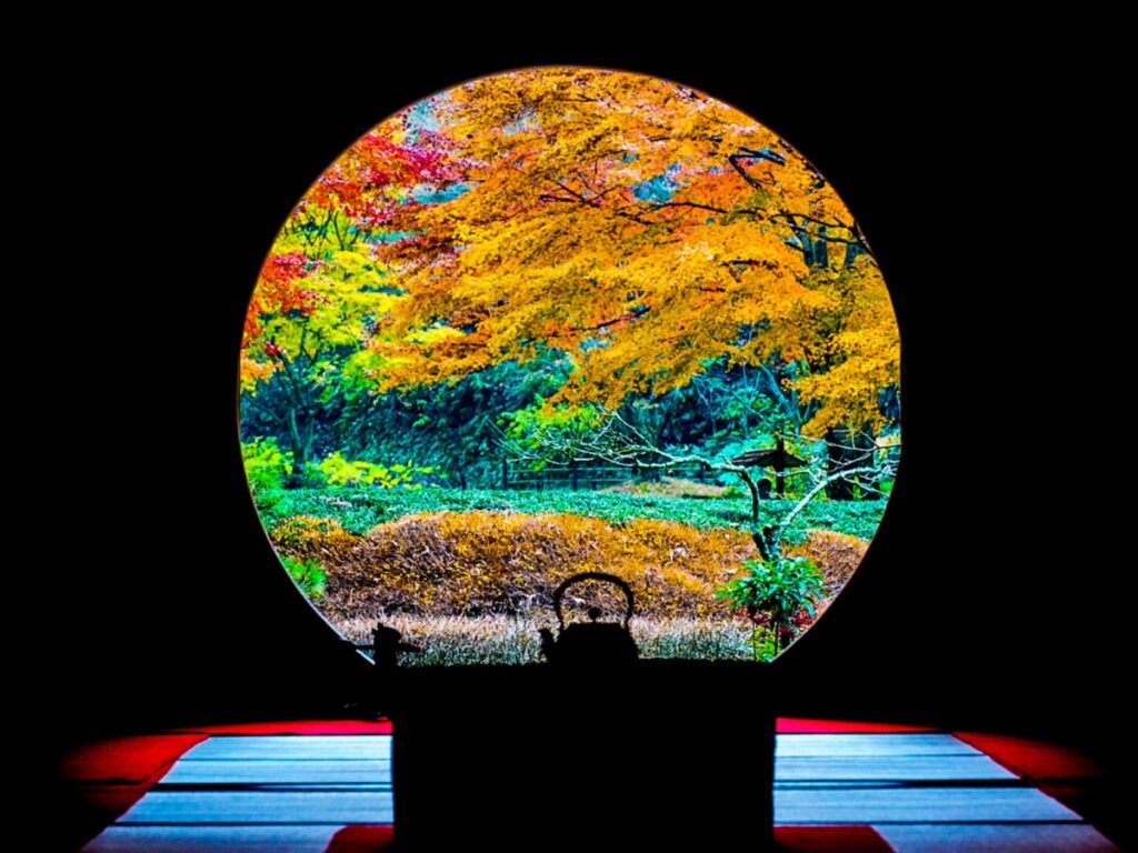 秋に行きたいと思う「神奈川県の絶景スポット」ランキング！ 2位「あじさい寺／明月院」を抑えた1位は？【2025年調査】 - All About ニュース
