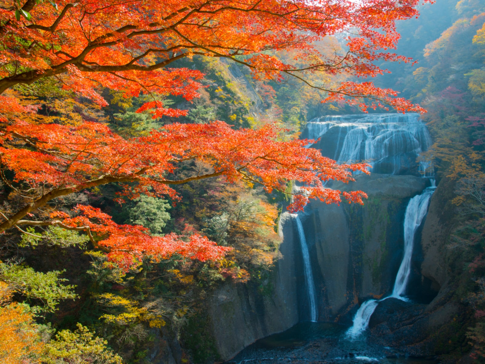 秋に行きたいと思う「茨城県の絶景スポット」ランキング
