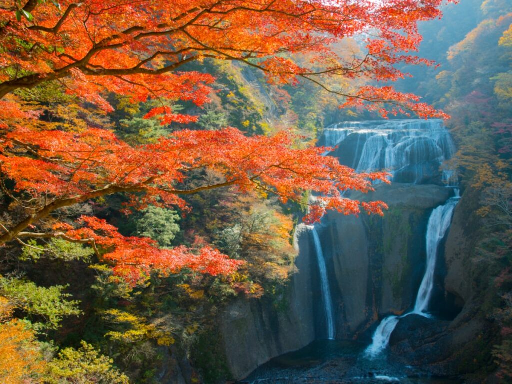 秋に行きたいと思う「茨城県の絶景スポット」ランキング！ 2位「袋田の滝」を抑えた1位は？【2025年調査】 - All About ニュース