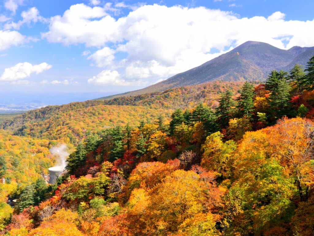 秋に行きたいと思う「岩手県の絶景スポット」ランキング！ 2位「八幡平」を抑えた1位は？ 【2025年調査】 - All About ニュース