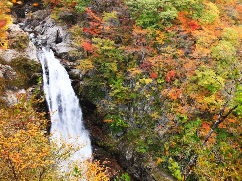 秋に行きたいと思う「宮城県の絶景スポット」ランキング！ 2位「秋保大滝」を抑えた1位は？ 【2025年調査】 - All About ニュース