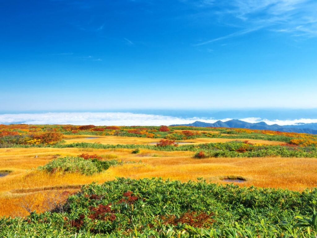 秋に行きたいと思う「山形県の絶景スポット」ランキング！ 2位「月山」を抑えた1位は？ 【2025年調査】 - All About ニュース