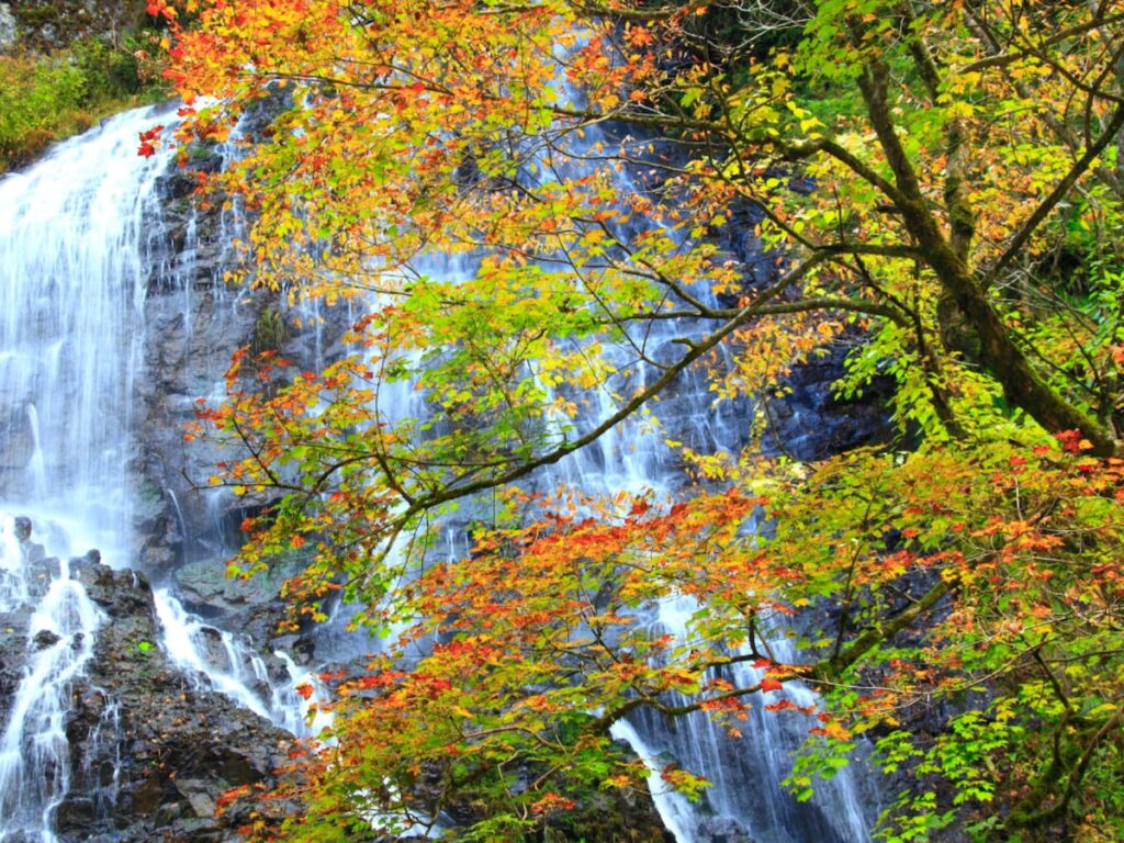 秋に行きたい「福井県の穴場秘境」ランキング！ 2位「龍双ヶ滝」、1位は？ 【2025年調査】 - All About ニュース