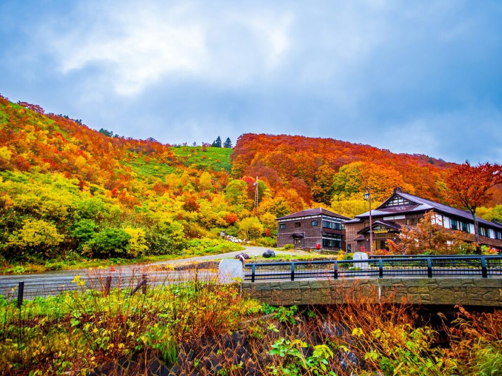 秋に行きたい「青森県の絶景ドライブスポット」ランキング！ 「八甲田山酸ヶ湯温泉周辺ルート」を大差で抑えた1位は？ - All About ニュース