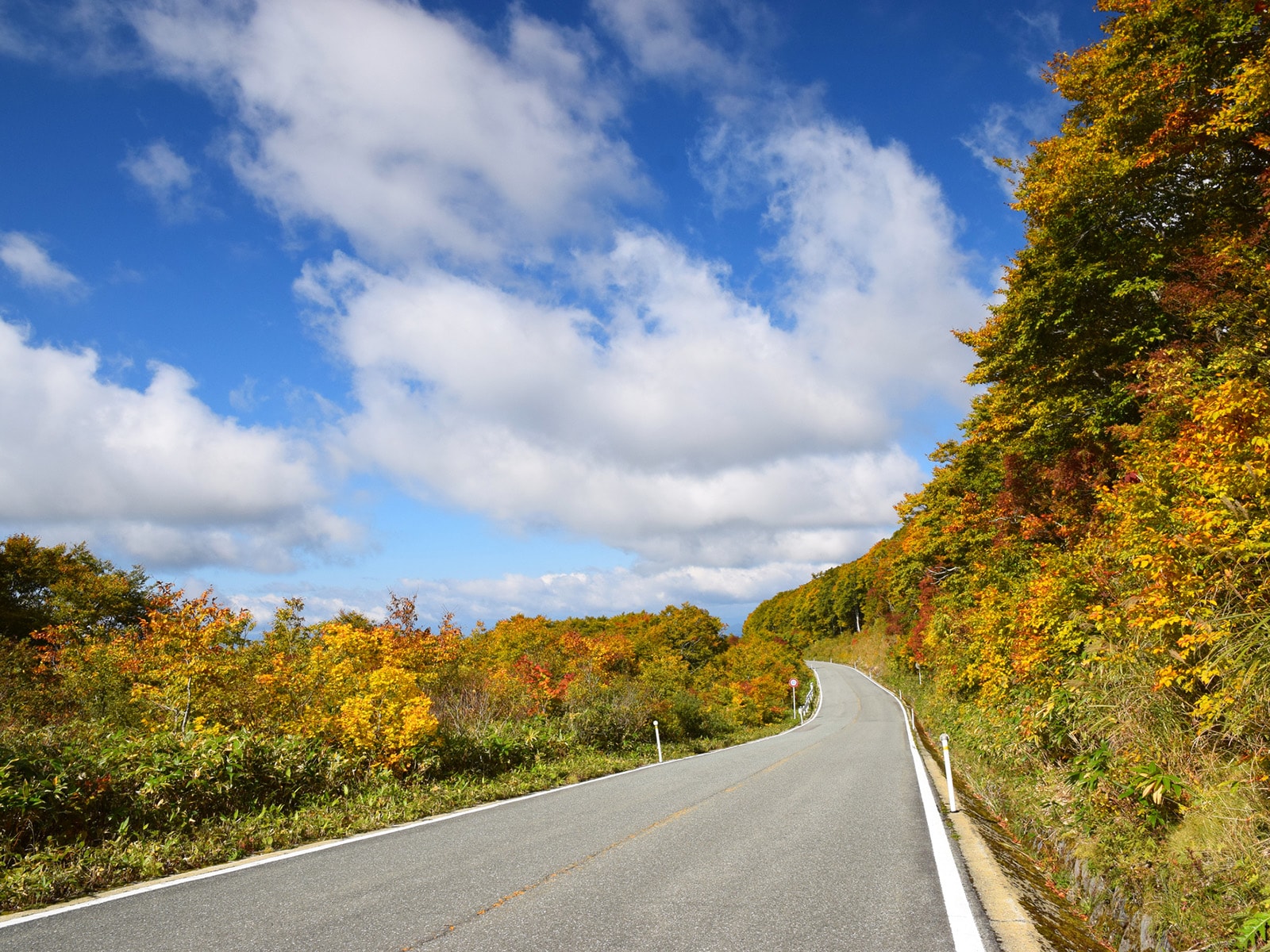 「秋に行きたい宮城県の絶景ドライブスポット」ランキング