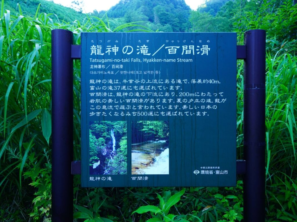 富山県で「秋に行きたい滝」ランキング！ 2位「龍神の滝」を抑えた1位は？ 【2025年調査】 - All About ニュース