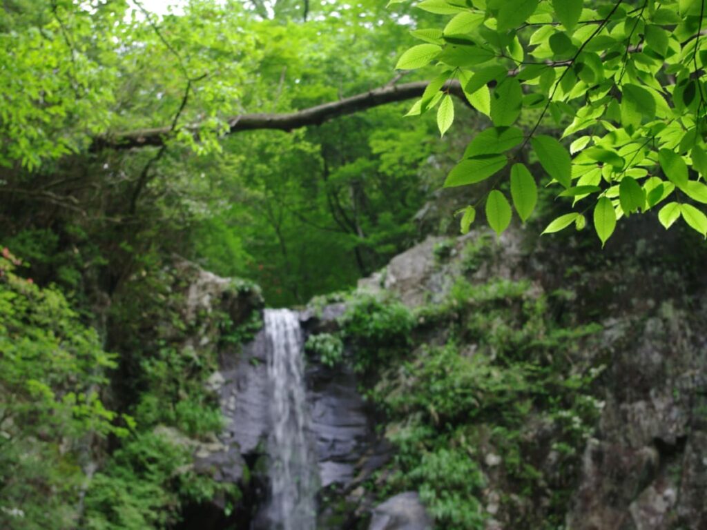 静岡県で「秋に行きたい滝」ランキング！ 2位「つるべ落としの滝」を抑えた1位は？ 【2025年調査】 - All About ニュース