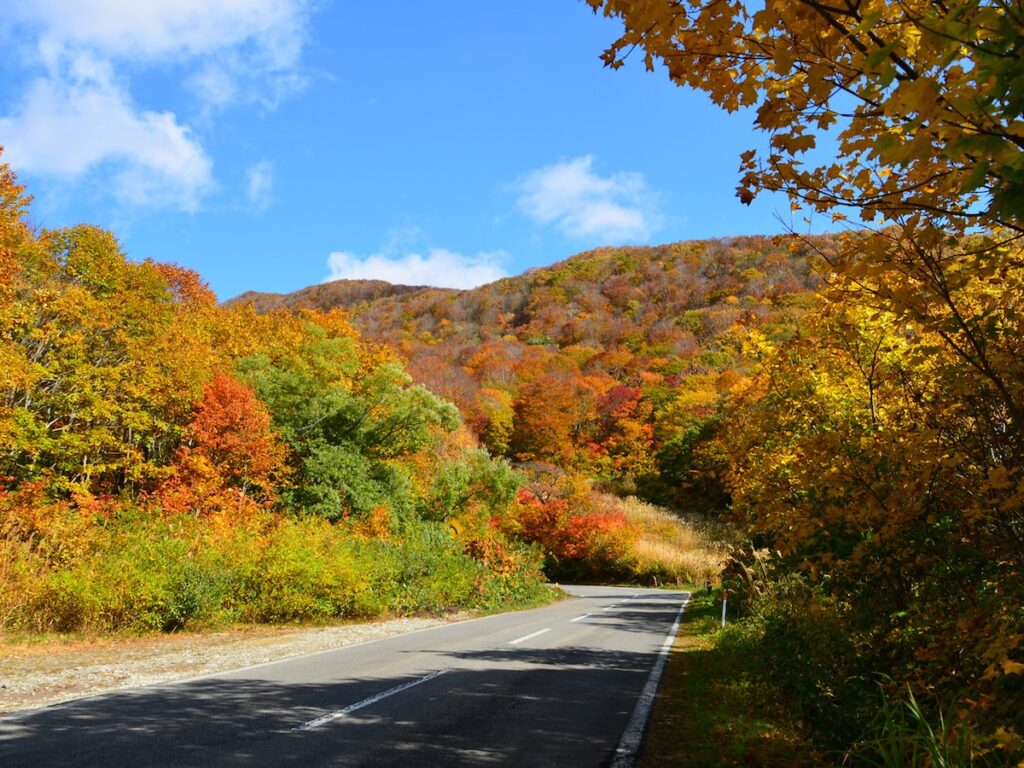 秋に行きたい「福島県の絶景ドライブスポット」ランキング！ 2位「磐梯山ゴールドライン」を抑えた1位は？ - All About ニュース