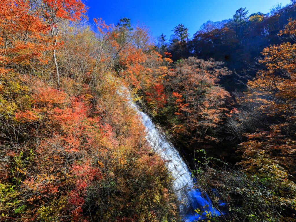 群馬県で「秋に行きたい滝」ランキング！ 2位「しゃくなげの滝」を抑えた1位は？【2025年調査】 - All About ニュース