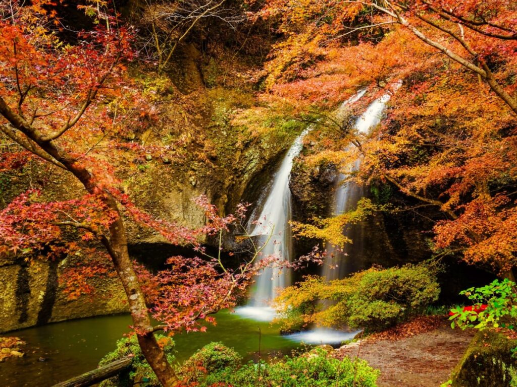 茨城県で「秋に行きたい滝」ランキング! 2位「月待の滝」を抑えた1位は?【2025年調査】 – All About ニュース 茨城県で「秋に行きたい滝」ランキング! 2位「月待の滝」を抑えた1位は?【2025年調査】 - All About ニュース