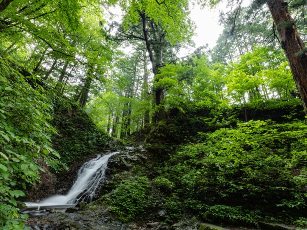 栃木県で「秋に行きたい滝」ランキング! 2位「白糸の滝」を抑えた1位は?【2025年調査】 – All About ニュース 栃木県で「秋に行きたい滝」ランキング! 2位「白糸の滝」を抑えた1位は?【2025年調査】 - All About ニュース