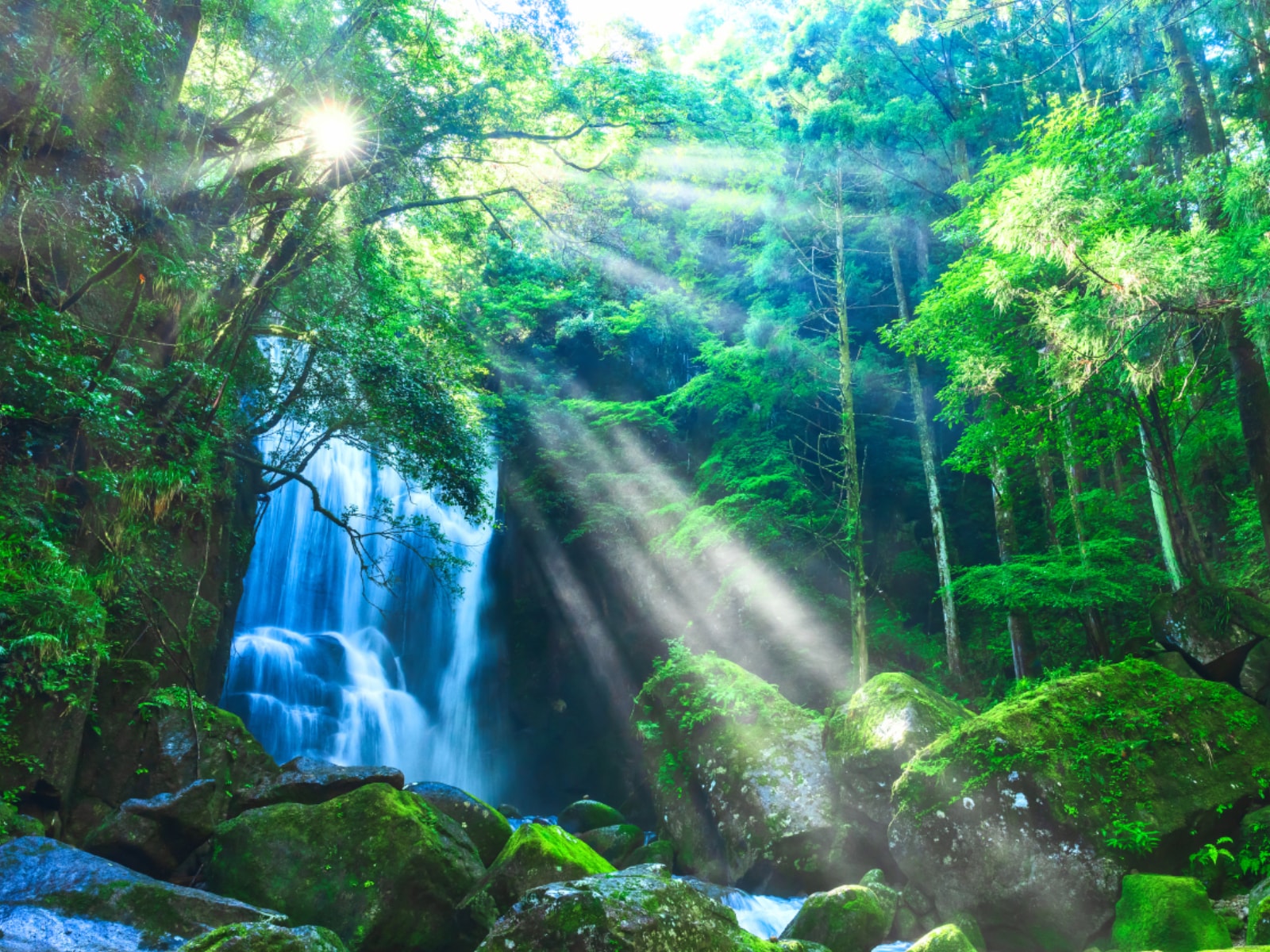 「秋に行きたい和歌山県の穴場秘境」ランキング