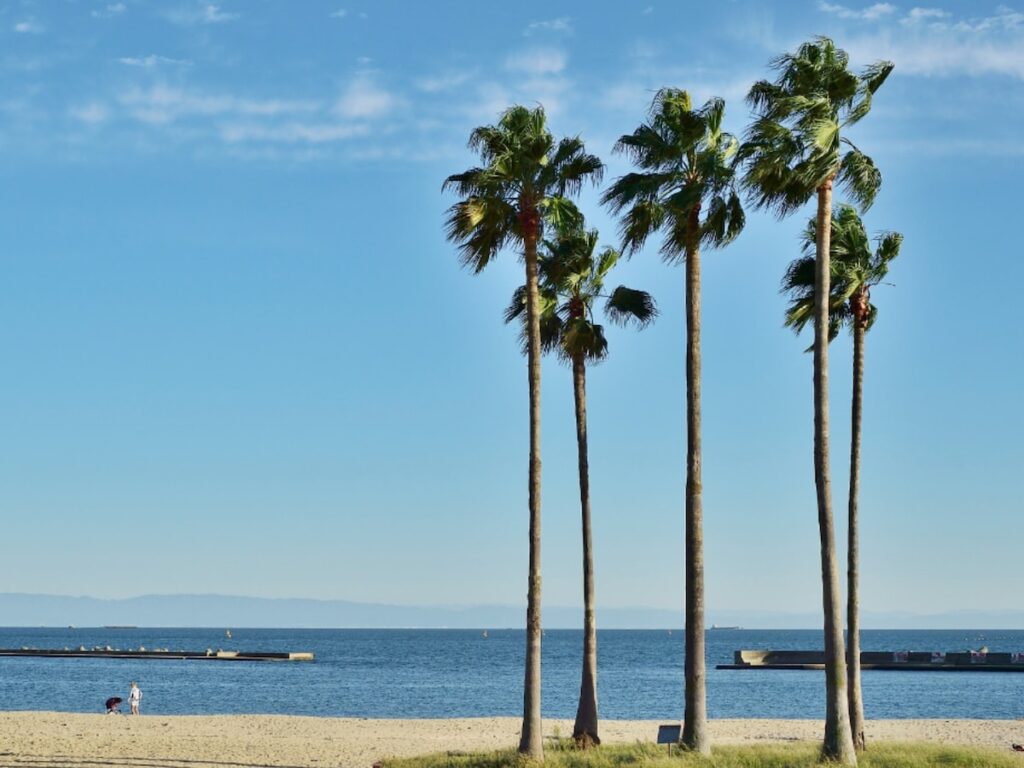 好き＆行ってみたい「兵庫県の海の駅」ランキング！ 2位「こうべすま海の駅」、1位は？ 【2025年調査】 - All About ニュース