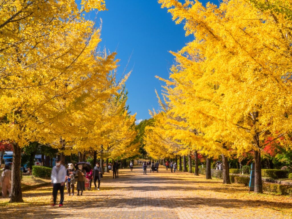 埼玉県の市で「治安がいい」と思う市ランキング！ 2位「秩父市」を抑えた1位は？【2025年調査】 - All About ニュース