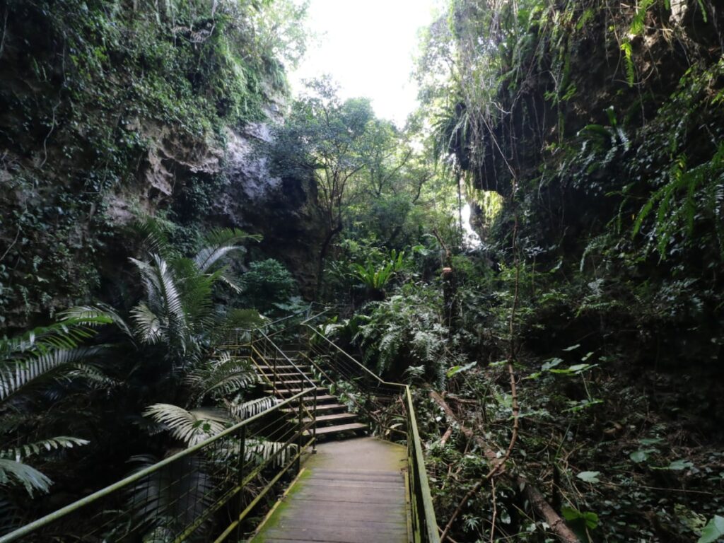 秋に行きたい「沖縄県の穴場秘境」ランキング！ 2位「ガンガラーの谷（本島）」を抑えた1位は？【2025年調査】 - All About ニュース