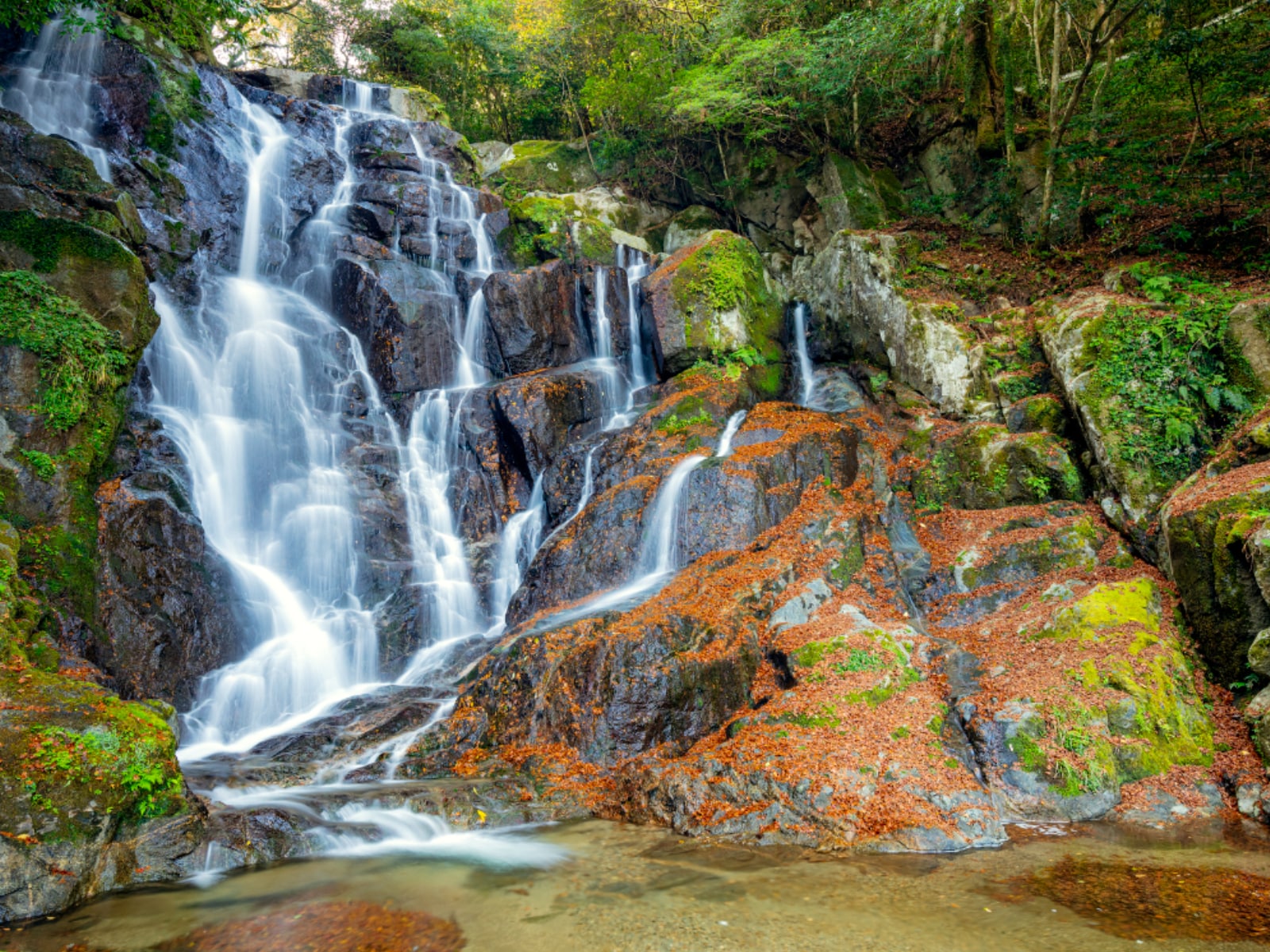 「秋に行きたいと思う『福岡県の絶景スポット』」ランキング