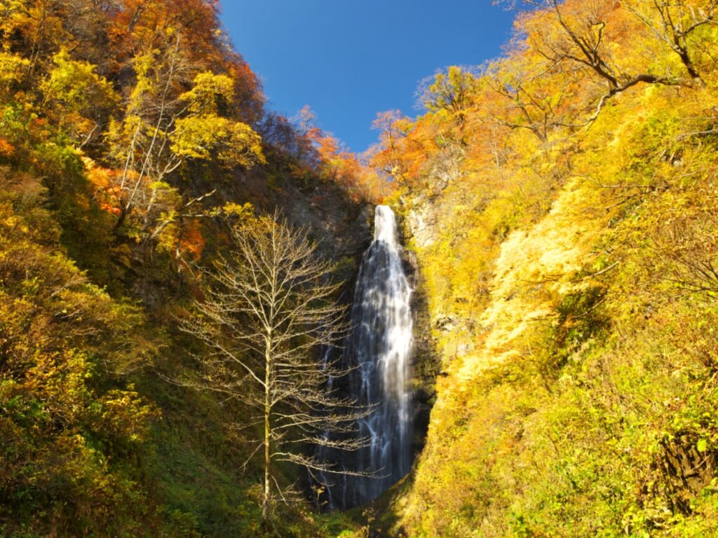 秋に行きたい「青森県の穴場秘境」ランキング! 2位「くろくまの滝」を抑えた1位は? 【2025年調査】 – All About ニュース 秋に行きたい「青森県の穴場秘境」ランキング! 2位「くろくまの滝」を抑えた1位は? 【2025年調査】 - All About ニュース