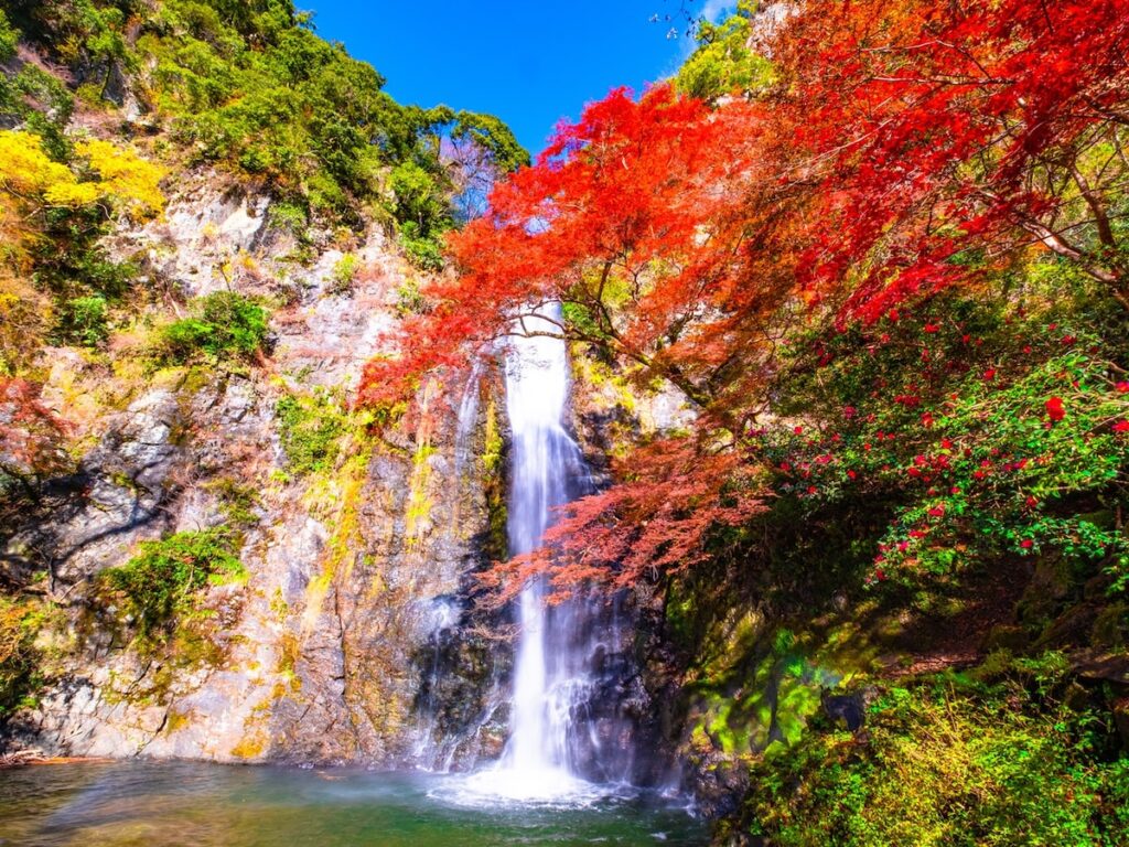 好き＆行ってみたい「大阪府の紅葉スポット」ランキング！ 2位「明治の森箕面国定公園」を抑えた1位は？【2025年調査】 - All About ニュース