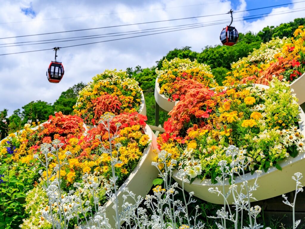 好き＆行ってみたい「兵庫県の紅葉スポット」ランキング！ 2位「神戸布引ハーブ園／ロープウェイ」を抑えた1位は？【2025年調査】 - All About ニュース