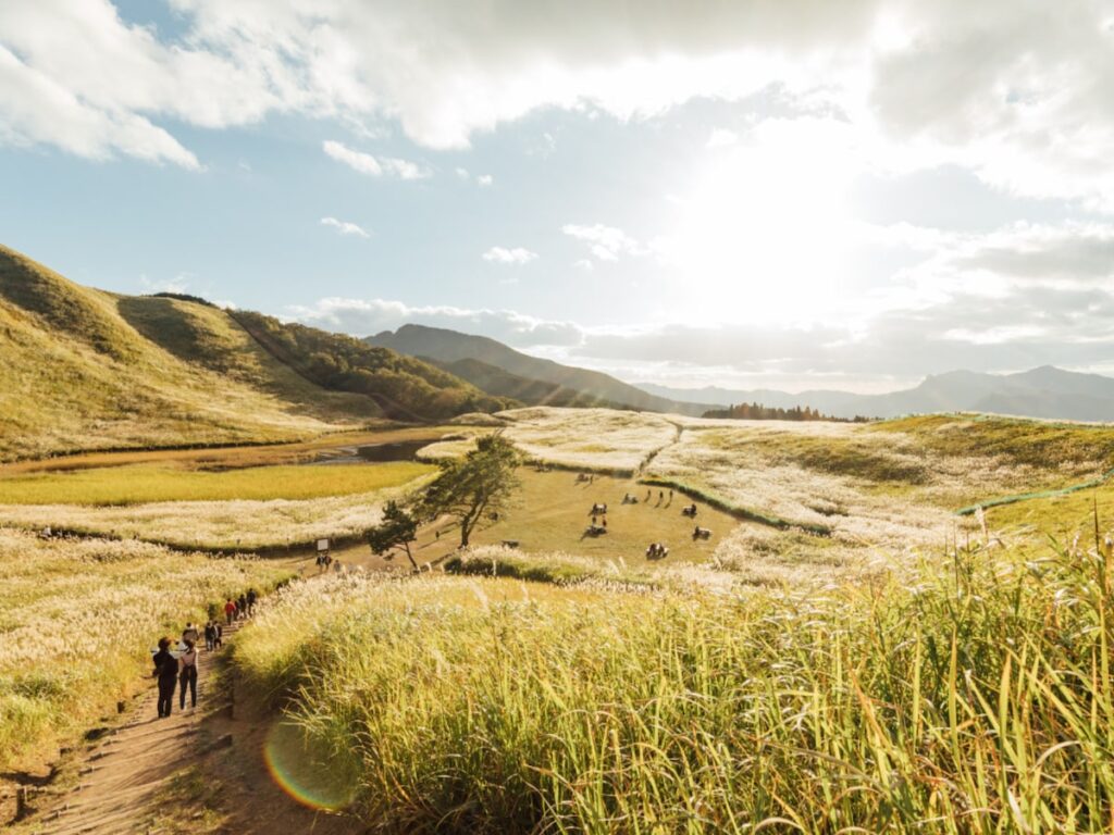 秋に行きたいと思う「奈良県の絶景スポット」ランキング! 2位「曽爾高原」を抑えた1位は? 【2025年調査】 – All About ニュース 秋に行きたいと思う「奈良県の絶景スポット」ランキング! 2位「曽爾高原」を抑えた1位は? 【2025年調査】 - All About ニュース