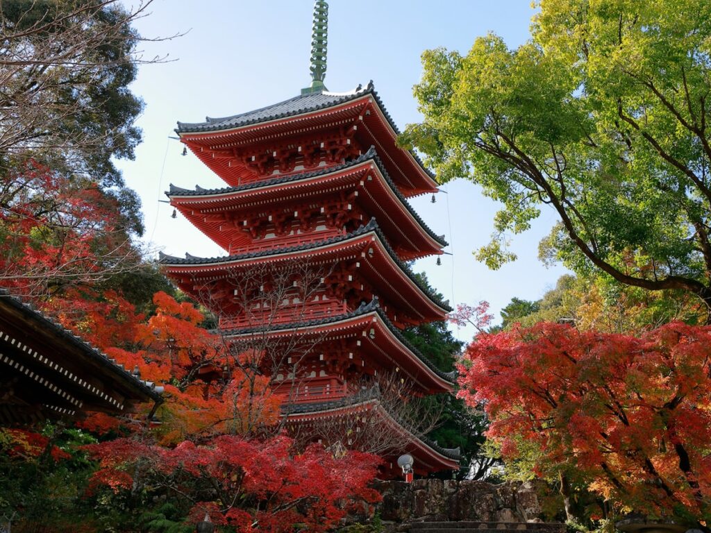 好き＆行ってみたい「高知県の紅葉スポット」ランキング！ 2位「五台山 竹林寺」を抑えた1位は？【2025年調査】 - All About ニュース