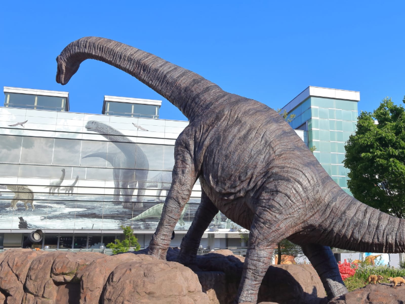 福井県の市で「治安がいい」と思う市ランキング